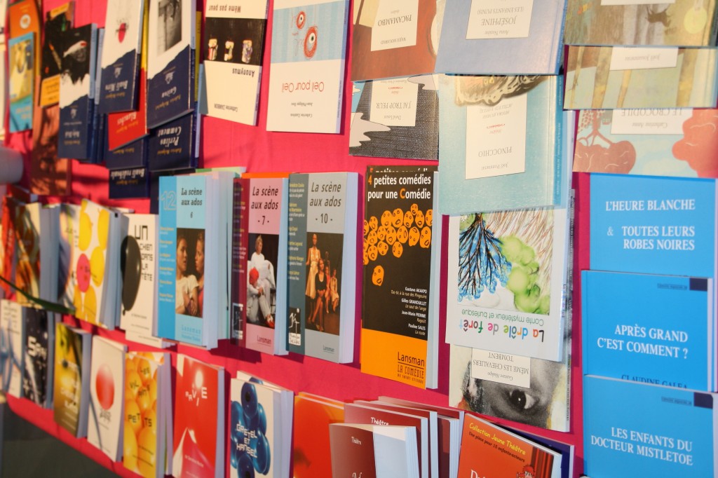 CHATILLON 2014 (35) Librairie-2