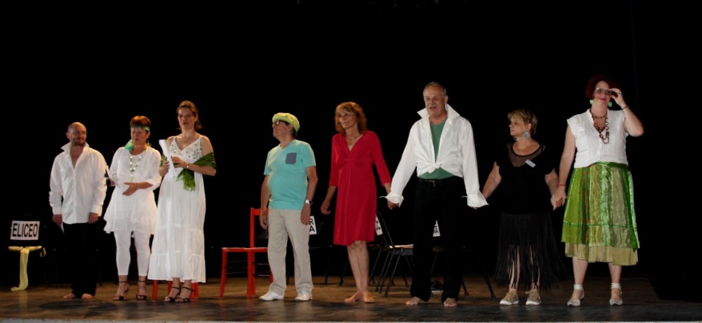 Chatillon2015-Lecture-ayaM-Luc Tartar-CD26-063