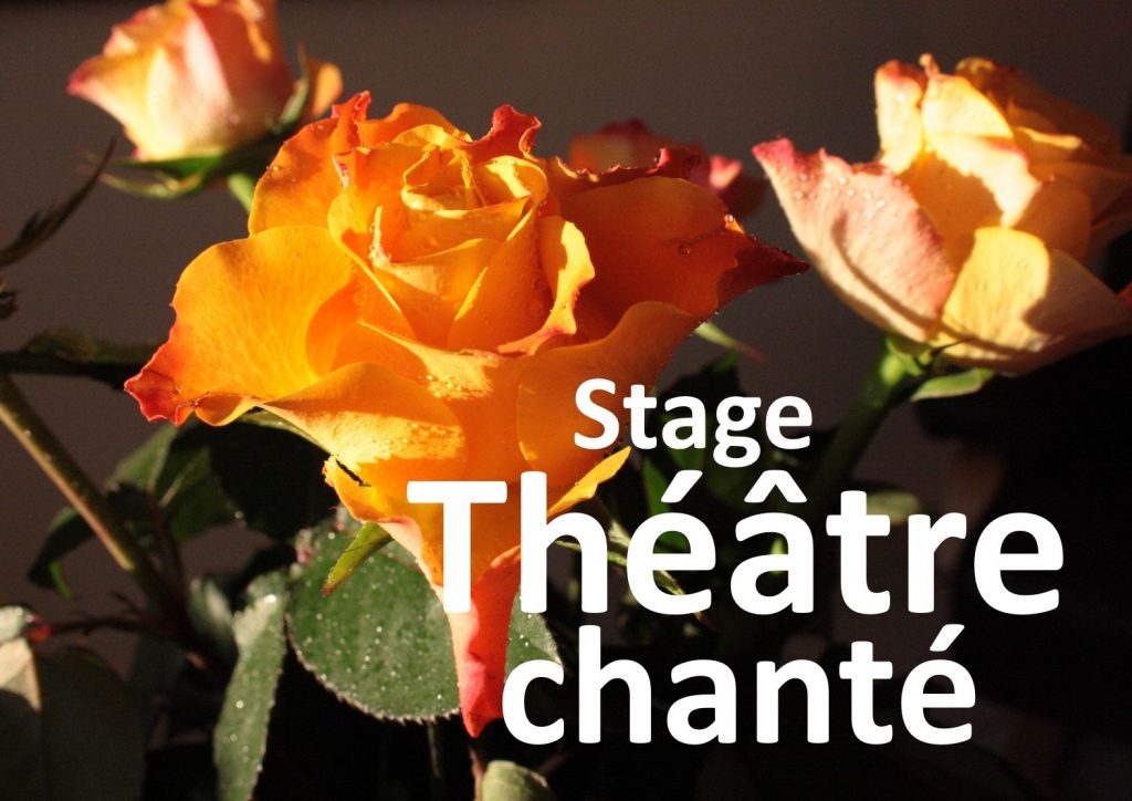 STAGE THEATRE CHANTE Vourles Nov 2017-C